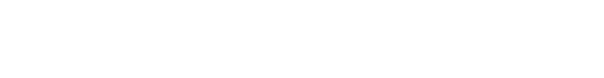 Amusnet transparant logo