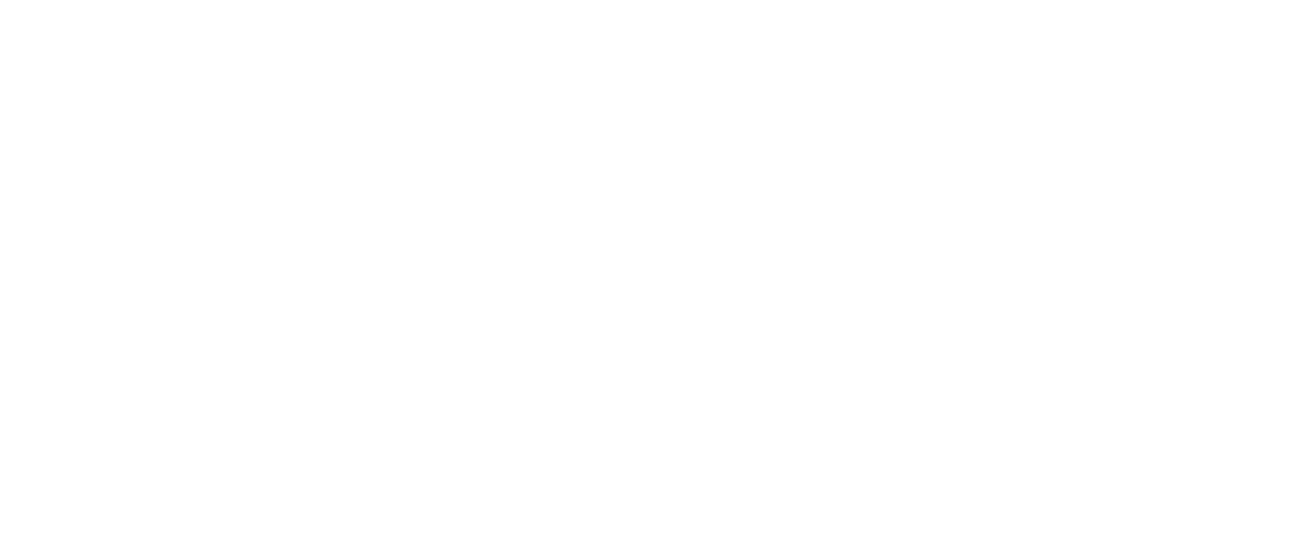 Wit Fazi Interactive Logo