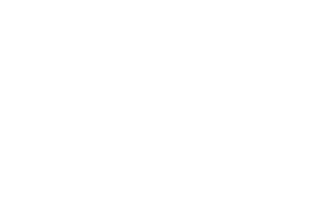 Play 'n Go logo white