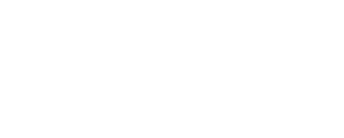 Swintt Logo transparant landscape logo