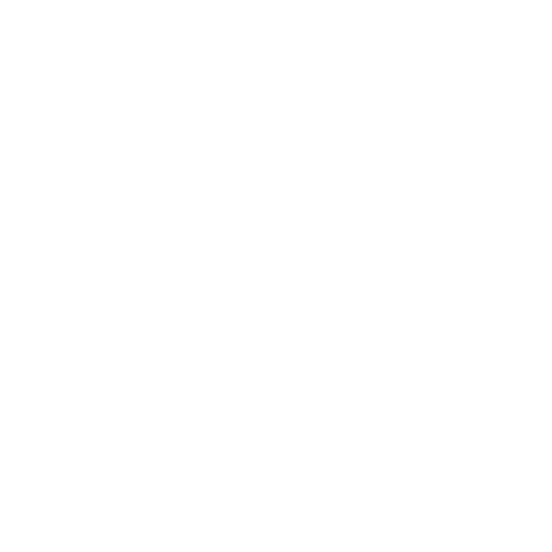 Aviator logo wit