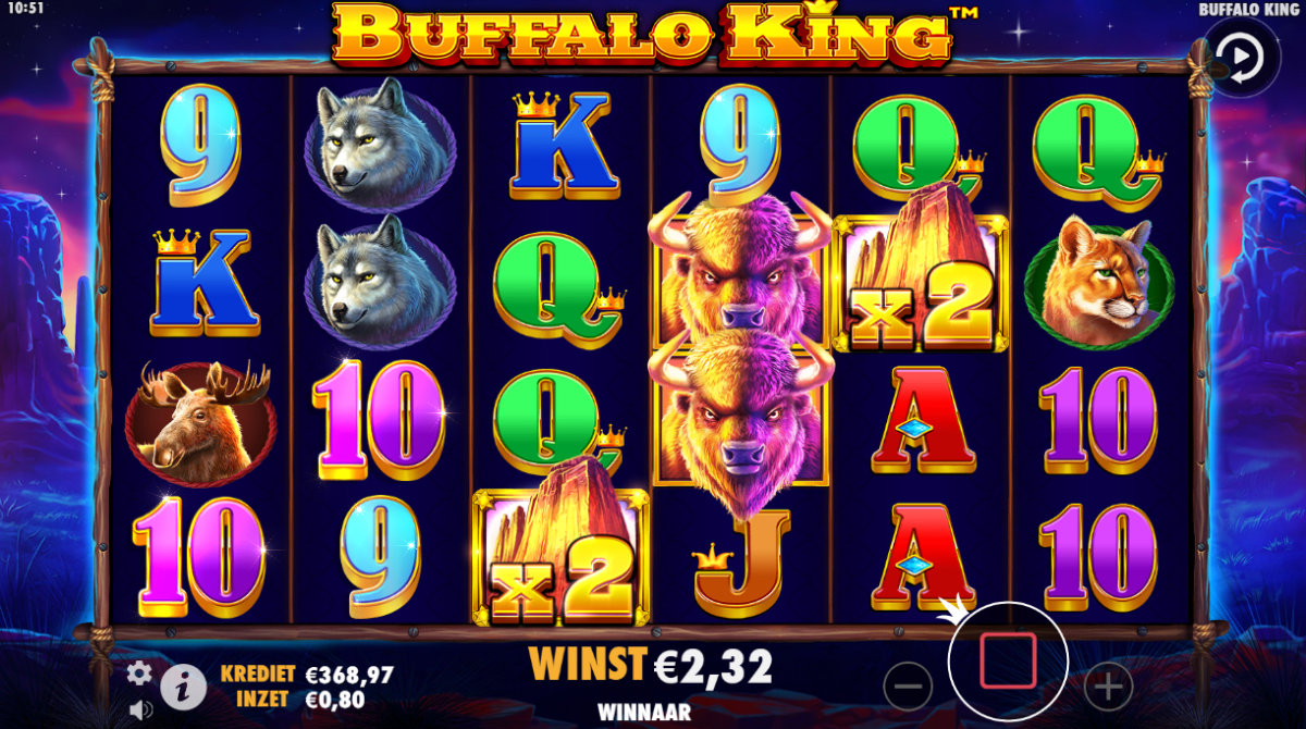 Buffalo King 3