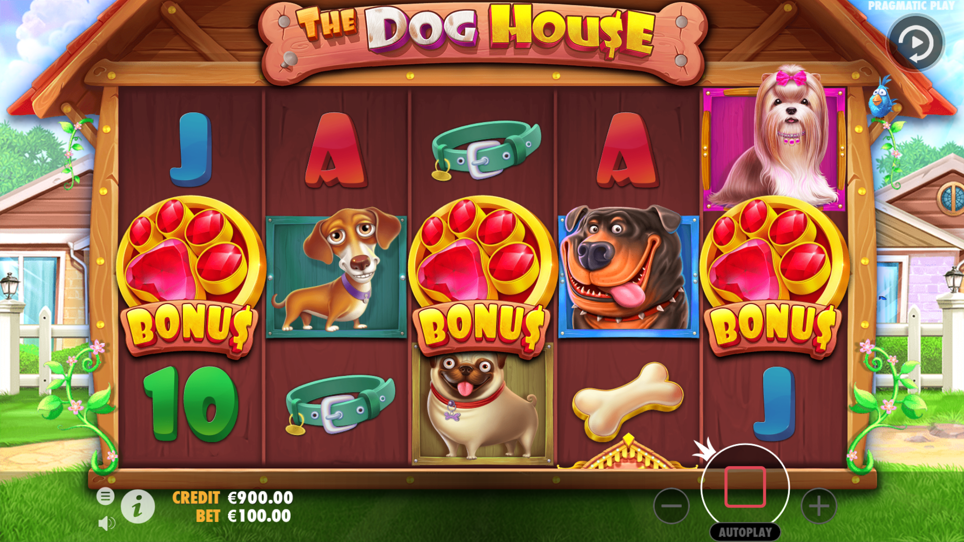 The Dog House &ndash; sticky wild free spins overview