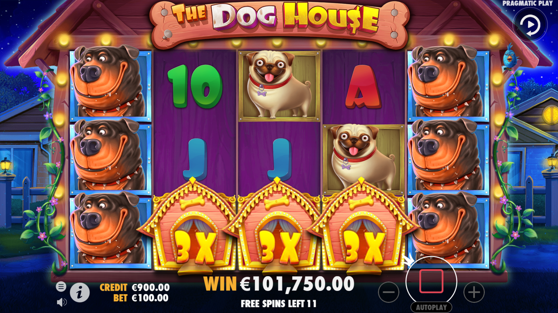 The Dog House &ndash; sticky wild free spins overview